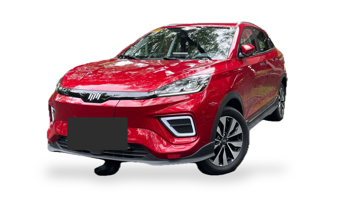 Wm Motor W5